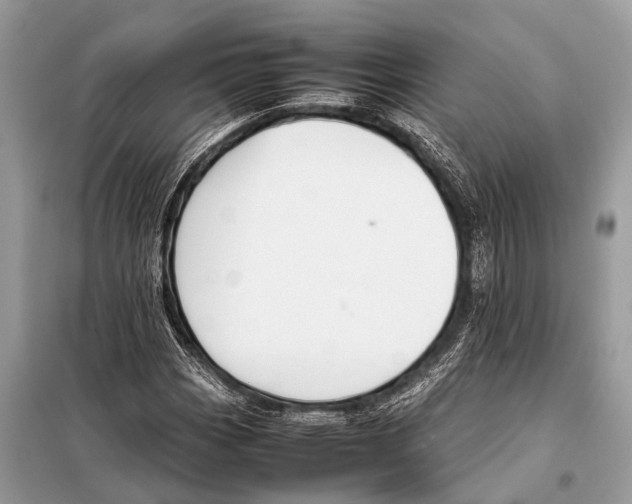 X0000098101113200805021103