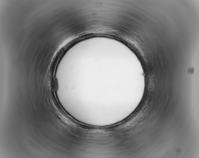 X0000098101114200805021103