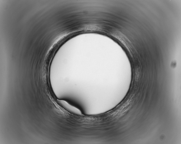 X0000098101115200805021103