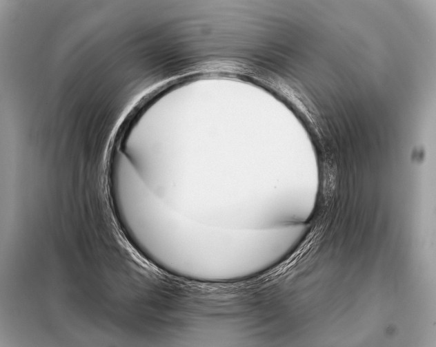 X0000098101116200805021103