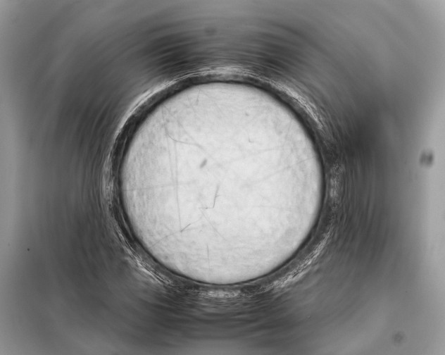 X0000098101117200805021103