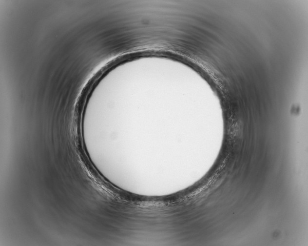X0000098101118200805021103