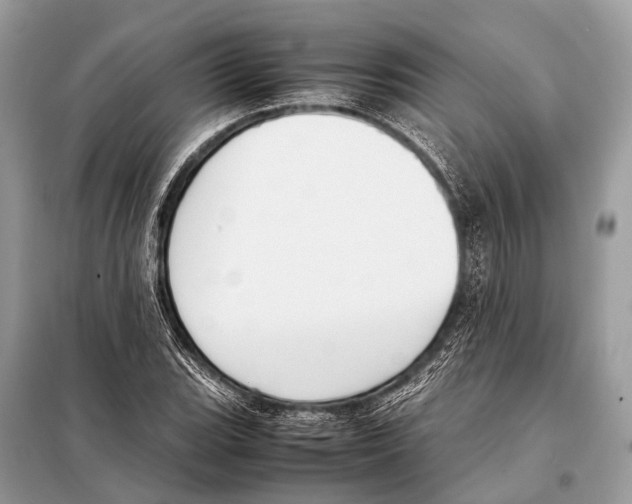 X0000098101119200805021103
