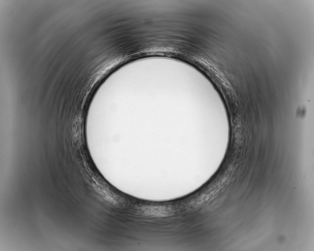 X0000098101121200805021103