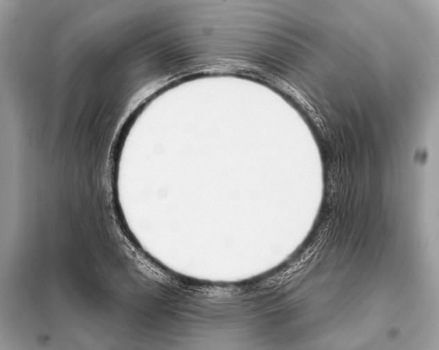 X0000098101122200805021103