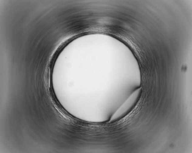 X0000098101123200805021103