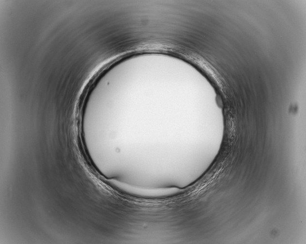 X0000098101124200805021103
