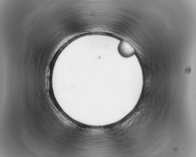 X0000098101126200805021103