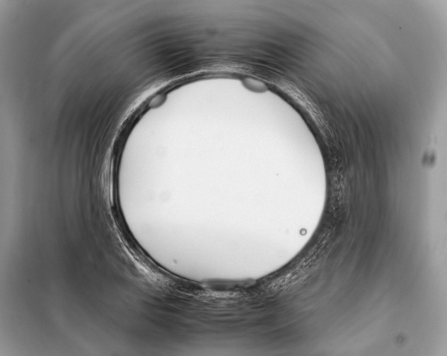 X0000098101127200805021103