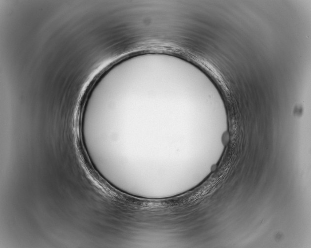 X0000098101128200805021103