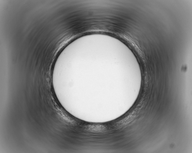 X0000098101129200805021103