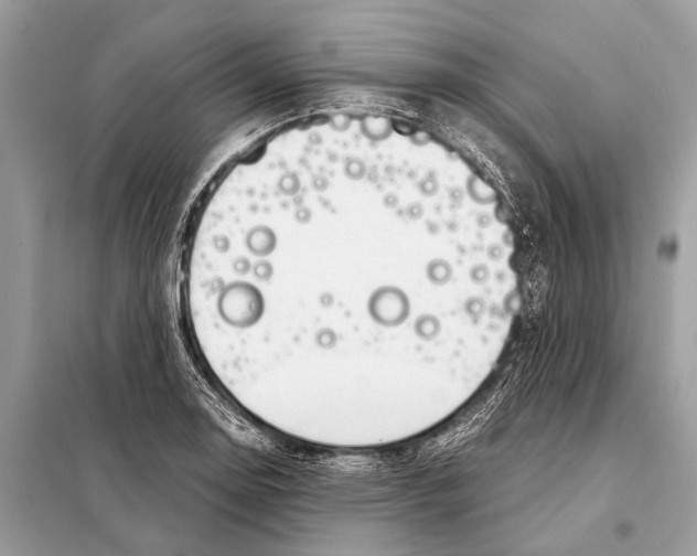 X0000098101130200805021103