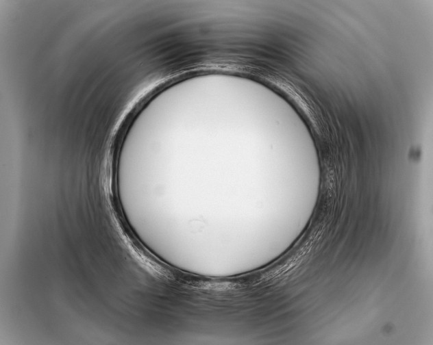 X0000098101131200805021103