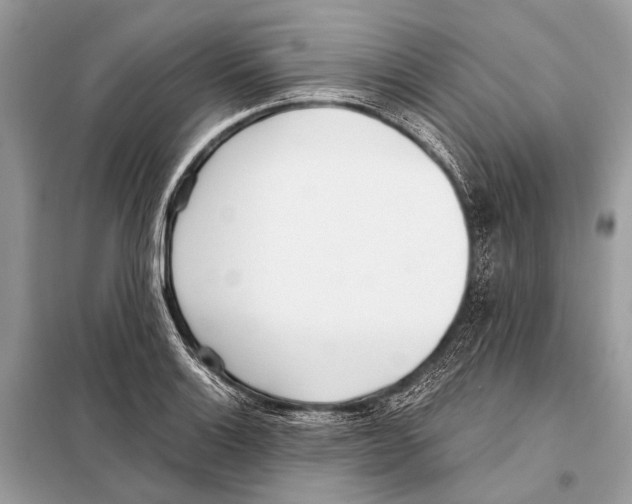 X0000098101132200805021103