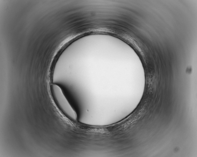 X0000098101133200805021103