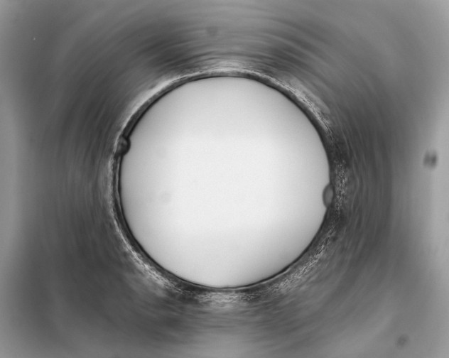 X0000098101134200805021103