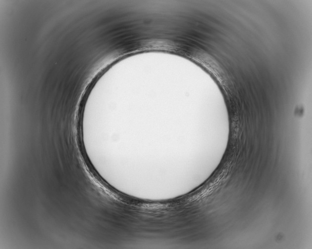 X0000098101135200805021103