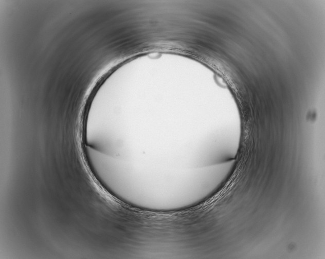 X0000098101136200805021103