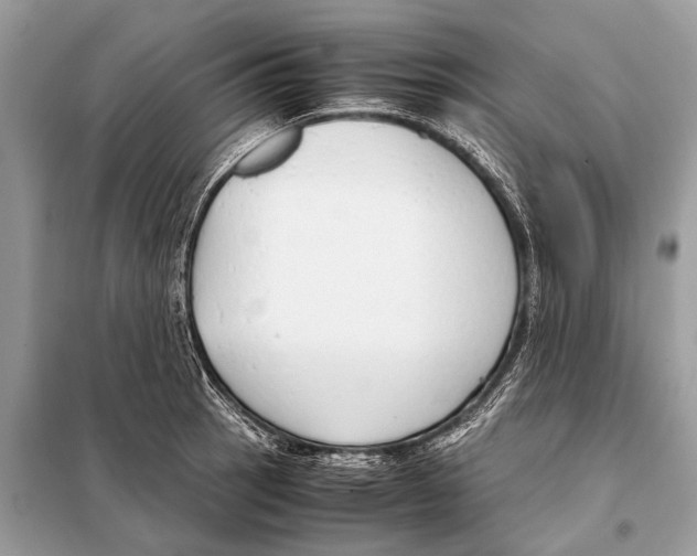 X0000098101137200805021103