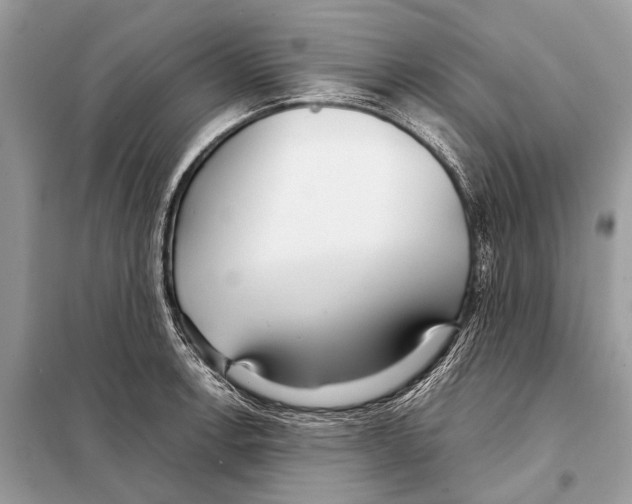 X0000098101138200805021103