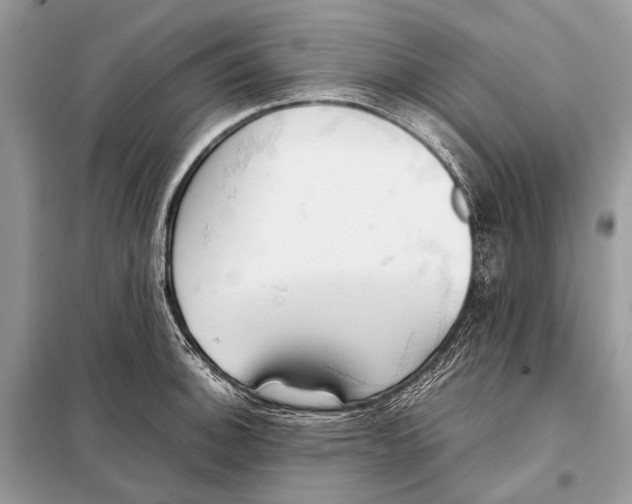 X0000098101140200805021103