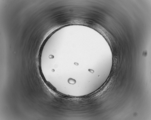 X0000098101141200805021103