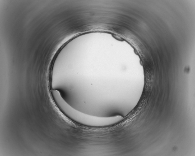 X0000098101142200805021103