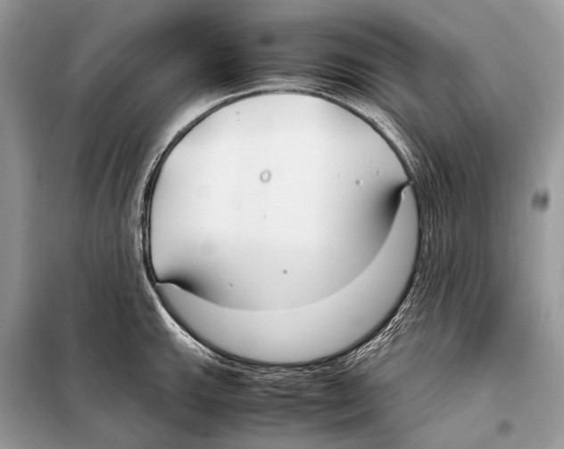 X0000098101143200805021103