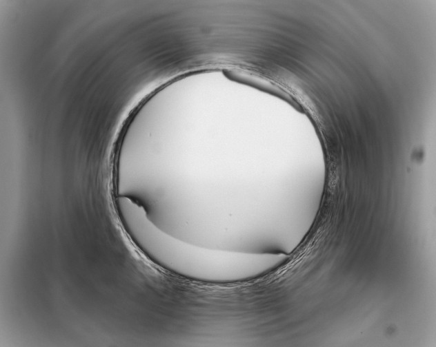 X0000098101144200805021103