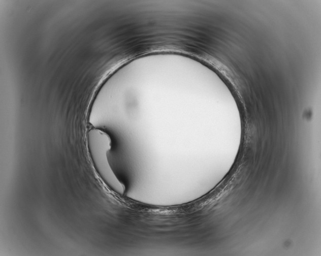 X0000098101145200805021103