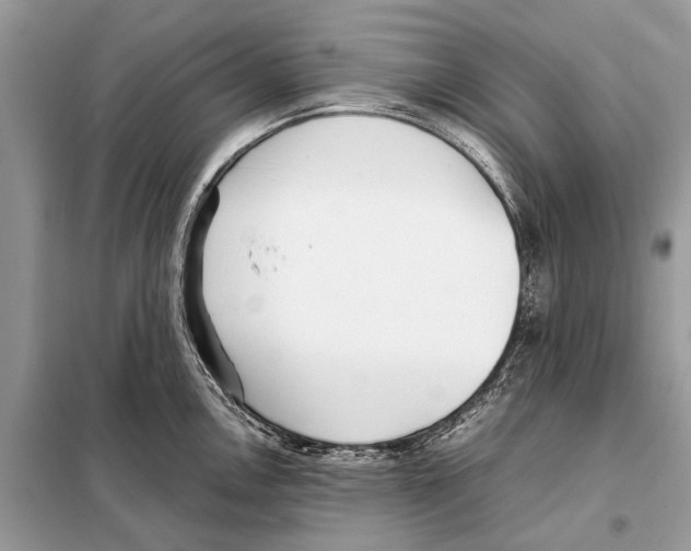 X0000098101146200805021103