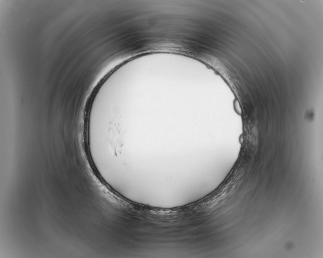 X0000098101147200805021104