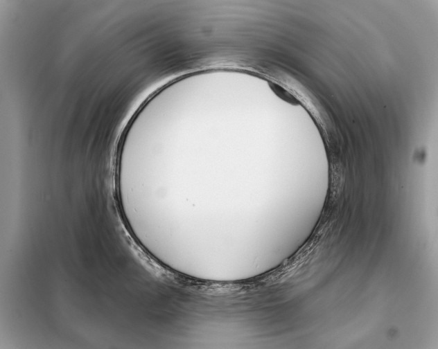 X0000098101148200805021104