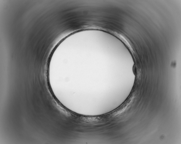 X0000098101149200805021104