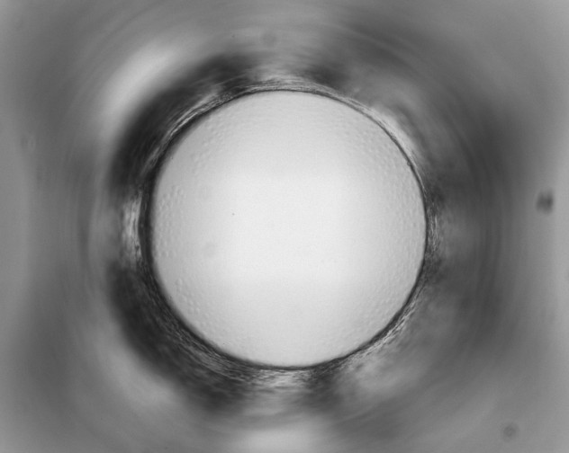 X0000098101150200805021104