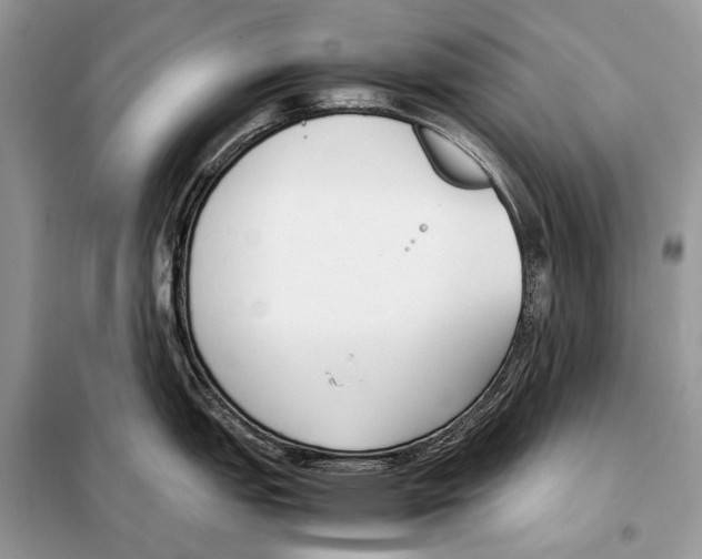 X0000098101151200805021104