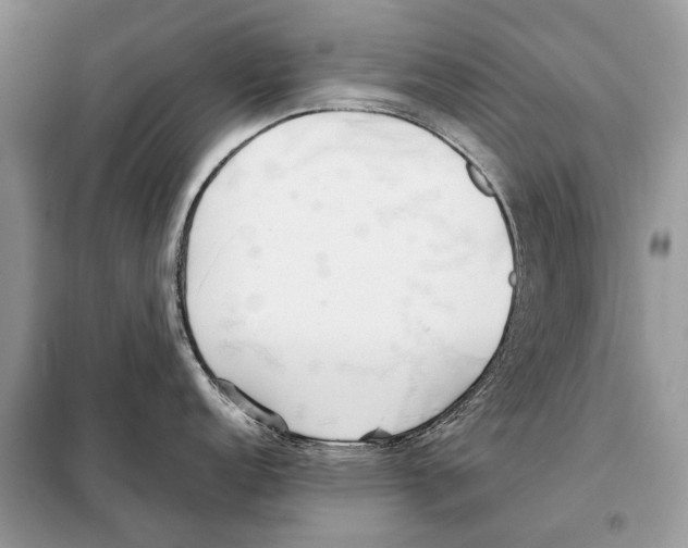 X0000098101152200805021104