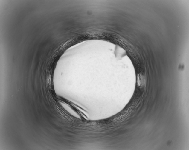 X0000098101155200805021103