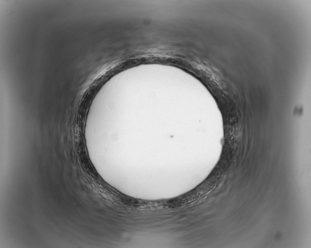 X0000098101159200805021103