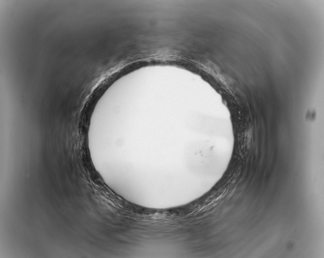 X0000098101160200805021103
