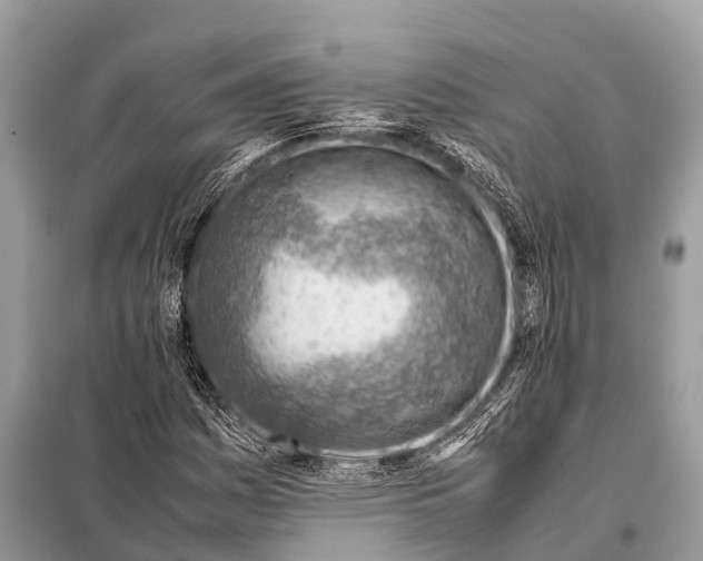 X0000098101161200805021103