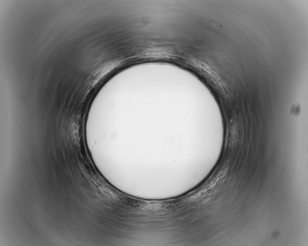X0000098101162200805021103
