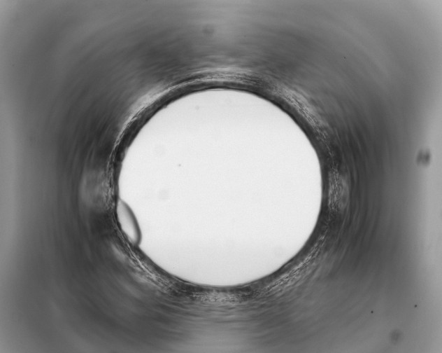 X0000098101164200805021103