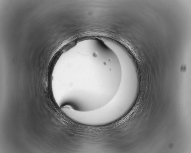 X0000098101165200805021103