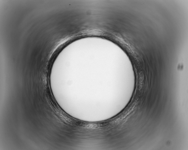 X0000098101166200805021103