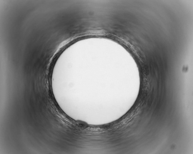 X0000098101168200805021103