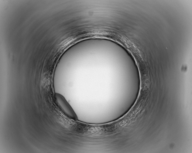 X0000098101169200805021103