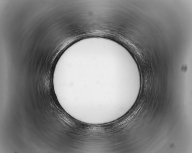 X0000098101170200805021103