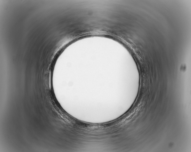 X0000098101171200805021102