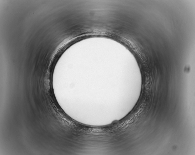X0000098101172200805021102
